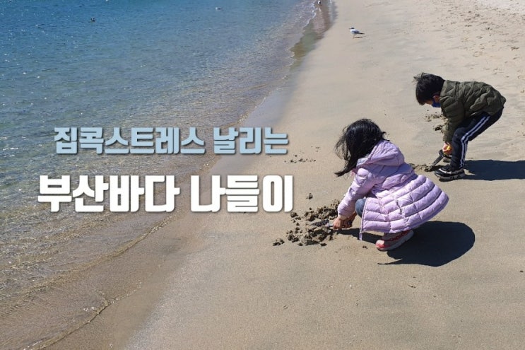  갑갑한 집콕중 아이와 바다나들이 가볼만한곳 송도해수욕장