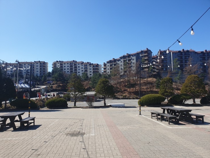  포천베어스타운과 아침고요수목원