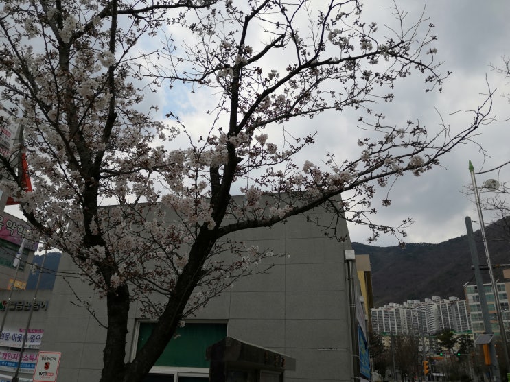  갑작스러운 외출, 한옥느낌의 카페
