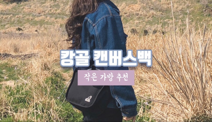 캉골 가방 캔버스 토드백 귀여워