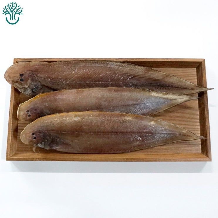  [자연한끼] 삼천포 반건조 생선, 1봉, 서대(박대) 추천해요