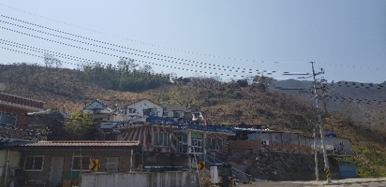  매화마을 섬진강 그리고 재첩국