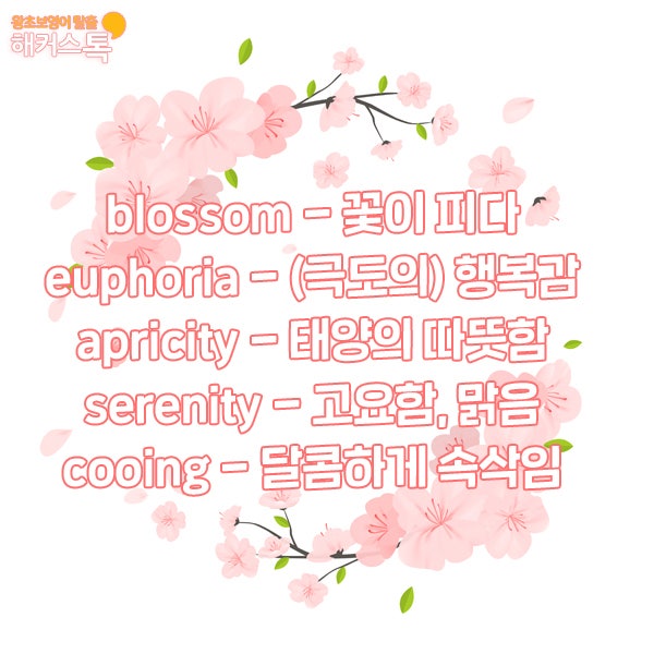 예쁜영어단어 뜻도 어감도 좋은 영어단어 소개! : 네이버 블로그