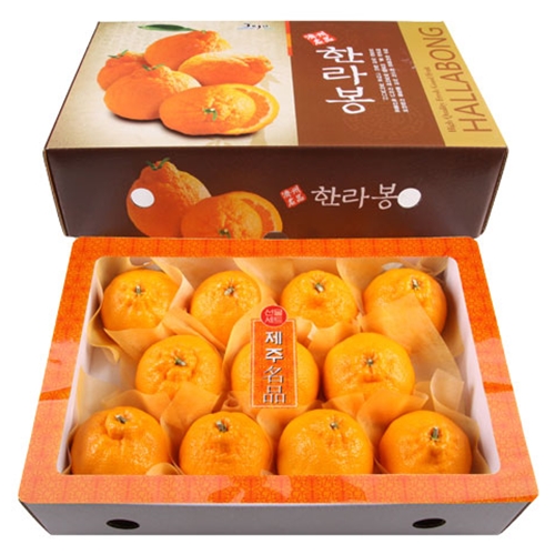 무료배송 한라봉 3kg 중 (11~13과)/제주도직배송, 일반포장 추천해요 무료배송 한라봉 3kg 중 (11~13과)/제주도직배송, 일반포장 추천해요