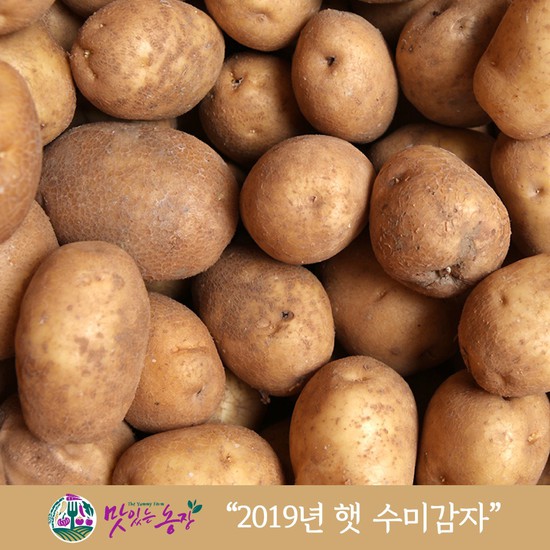 맛농19년 햇 수미감자 5kg / 대, 없음, 상세설명 참조 추천해요