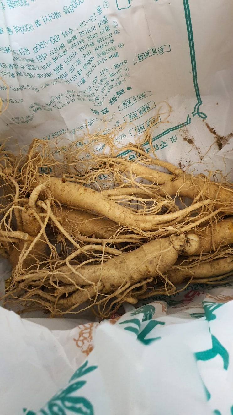  백삼 세척