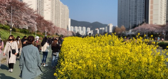  그래도 봄은 오나 봄^^