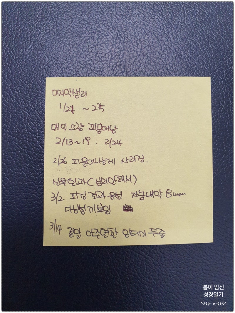 임신 일기 2) 임신 4주 4일 임신낭확인 동산병원 크녹산등 습유방지처방 받아왔어요 : 네이버 블로그