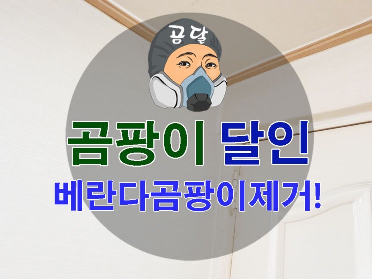  베란다 곰팡이제거 재발 없는 해결법!