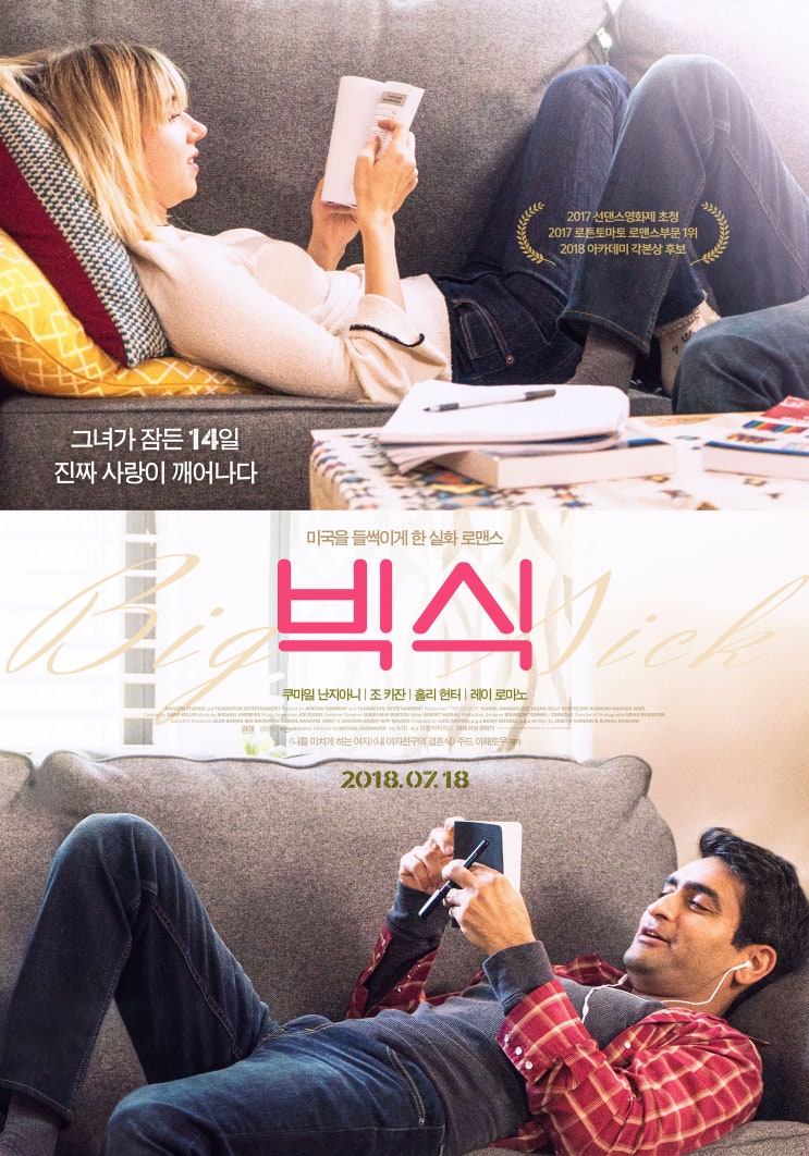 빅식(The Big Sick, 2017)