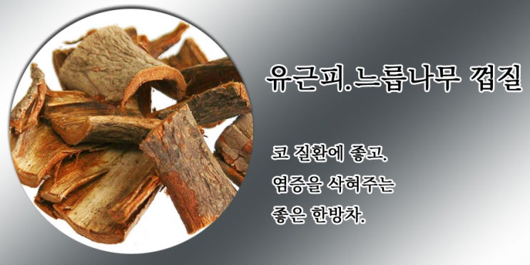  느릅나무 껍질. 유근피의 효능