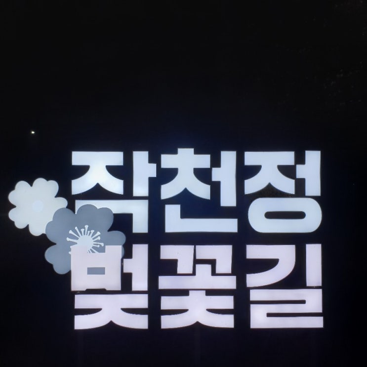  [울산 언양] 데이트하기 좋은 작천정 벚꽃길