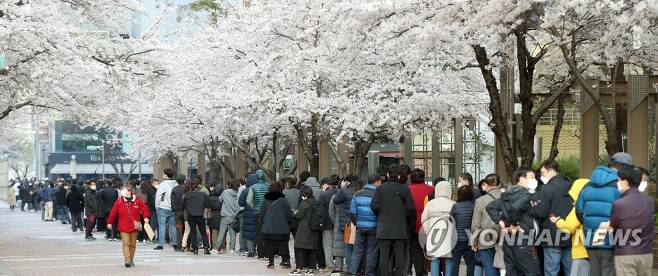  이 시국에 왠 꽃구경! 생각했는데..진실을 마주하니 부끄러웠다..아니 죄송했다..