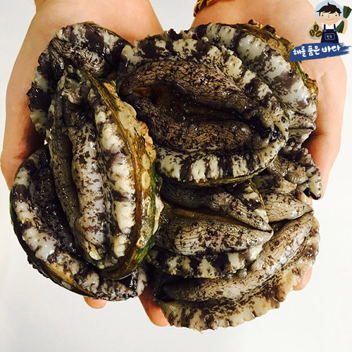 해를품은바다 완도 생일도 전복, 5번, 500g (9~10미) 추천해요 해를품은바다 완도 생일도 전복, 5번, 500g (9~10미) 추천해요