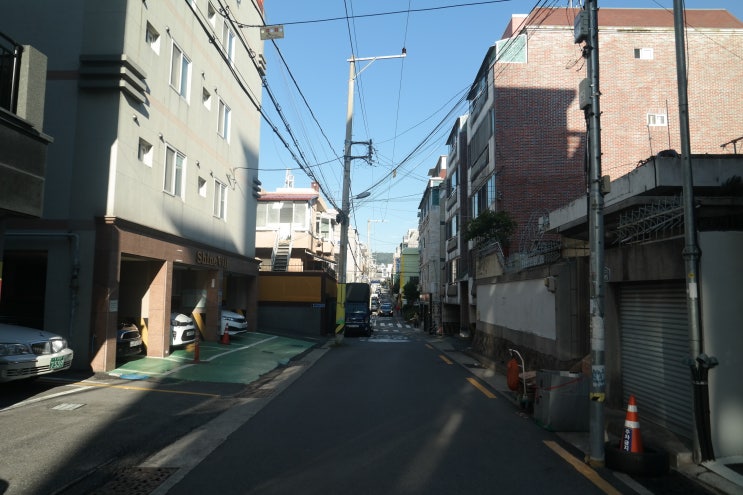  날씨 좋은 수요일 기분도 좋아 집니다.