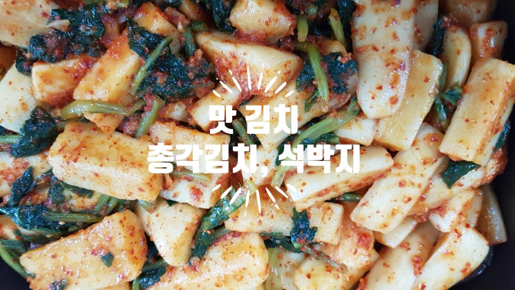 아삭아삭 감칠맛나는 오색소반 농협 김치