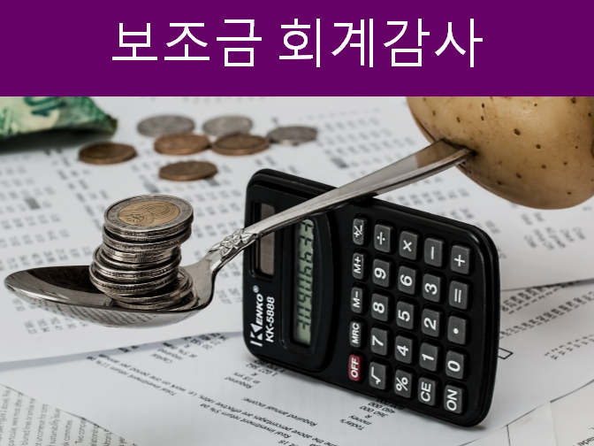  보조금 감사보고서 제출 시기 참고하세요!!