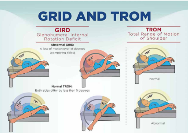GIRD(Glenohumeral Internal Rotation Deficit) - 관절와 상완관절 내회전 결핍) : 네이버 블로그