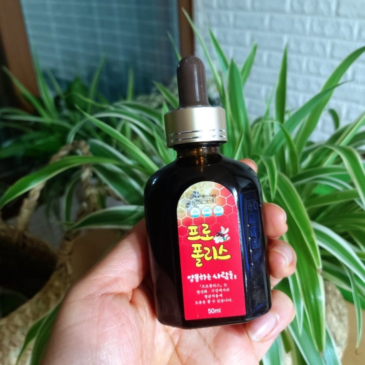  항산화 구강(입병)에서의 항균작용에 도움 주는 양봉하는 사람들 프로폴리스 효능