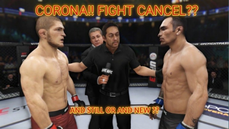 UFC 249 플로리다 개최 논의 중 등 MMA 뉴스 UFC 249 플로리다 개최 논의 중 등 MMA 뉴스