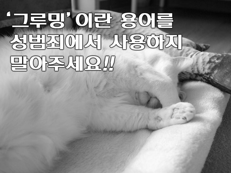  [그루밍뜻]'그루밍' 하.. 그 귀여운 단어를 이렇게 토나오는 사건에서 들어야 하나..