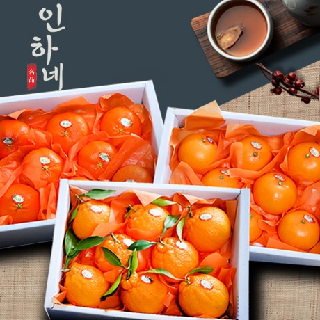 인하네 레드향 한라봉 천혜향 혼합세트, 1번 추천해요 인하네 레드향 한라봉 천혜향 혼합세트, 1번 추천해요