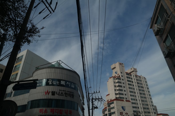  비가 오는 목요일 힘차게.