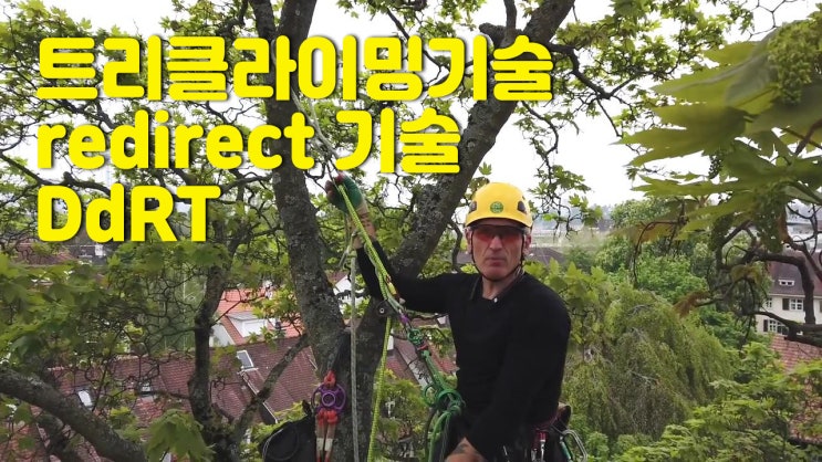 DdRT redirects tree care 리다이렉트 트리클라이밍 기술