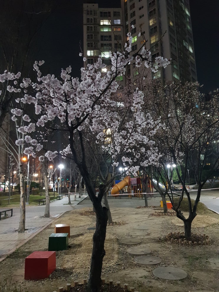  코로나가 바꾼 일상.