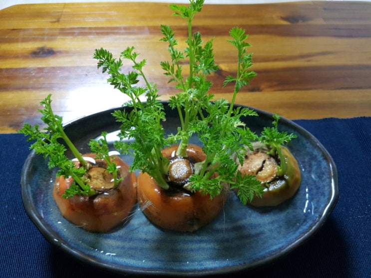  당근 꼬다리 수경재배c