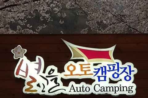 성주광고 이미지