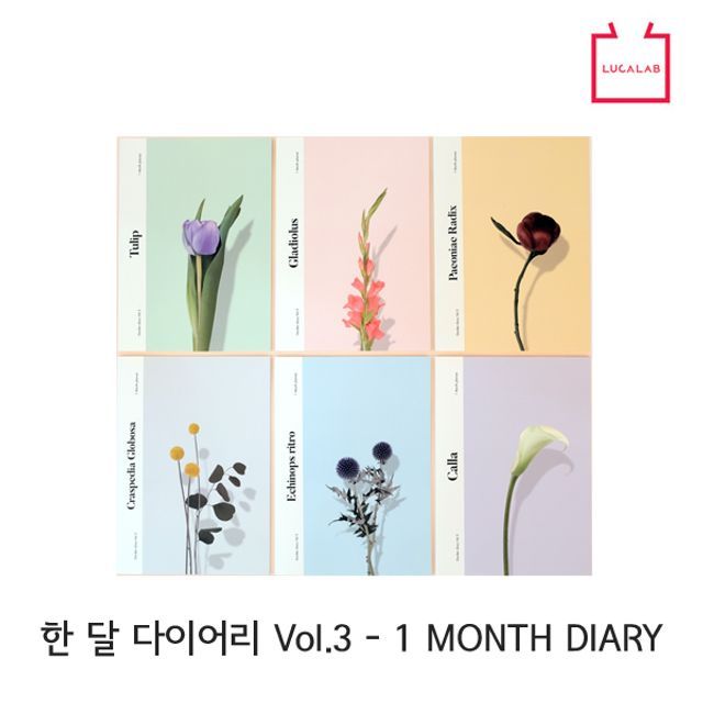  득템해요!  ksw51847 한 달 다이어리 Vol3 2P 일상기록장 nx610 먼슬리다이어리 06 칼라 퍼플  파는 곳
