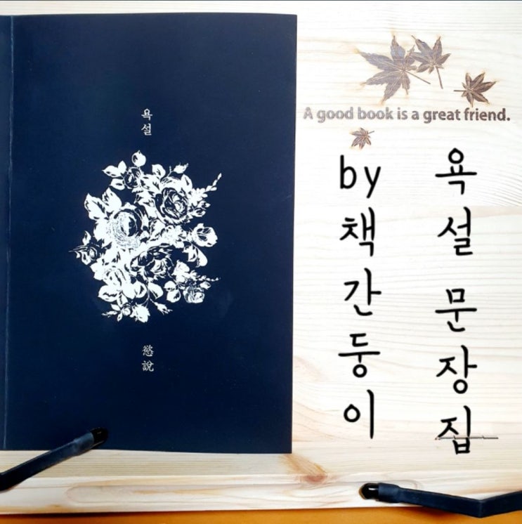  욕설 문장집, 독설과 사랑 에세이