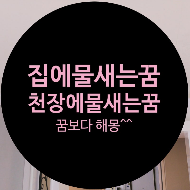 천장에서 물새는꿈, 집에 물이새는꿈 해몽은 안보는게~~