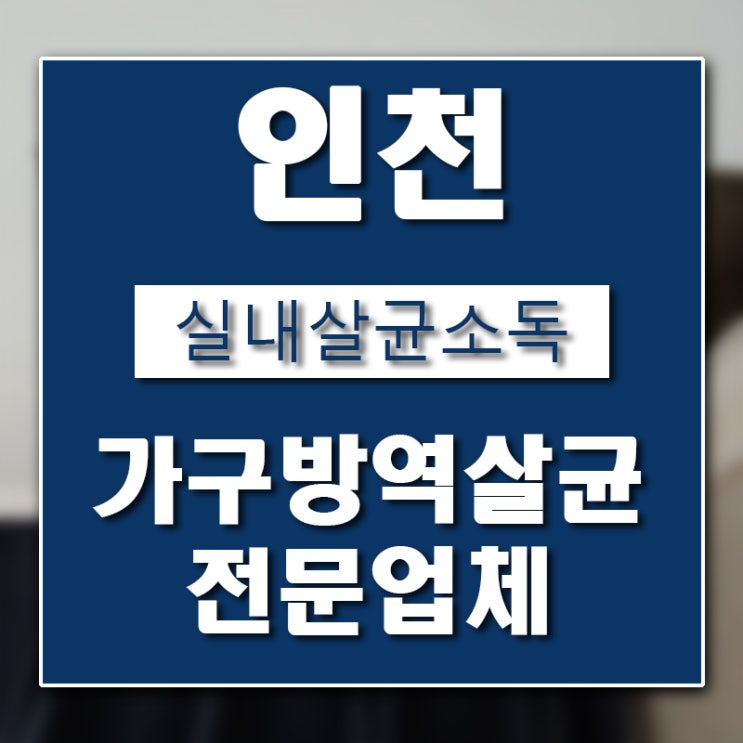  인천 가구소독업체 버그헌터119인천센터 입니다.