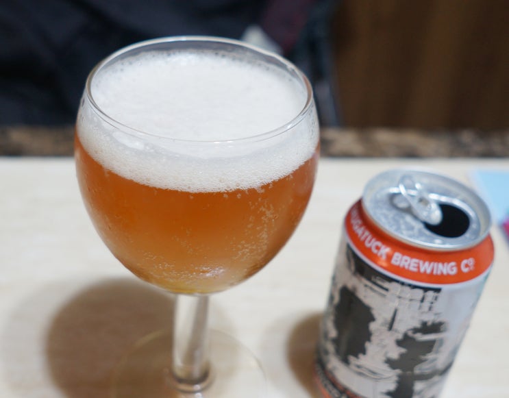  수입맥주 추천 케이오틱 더블 아이피에이 진한 맛이로다