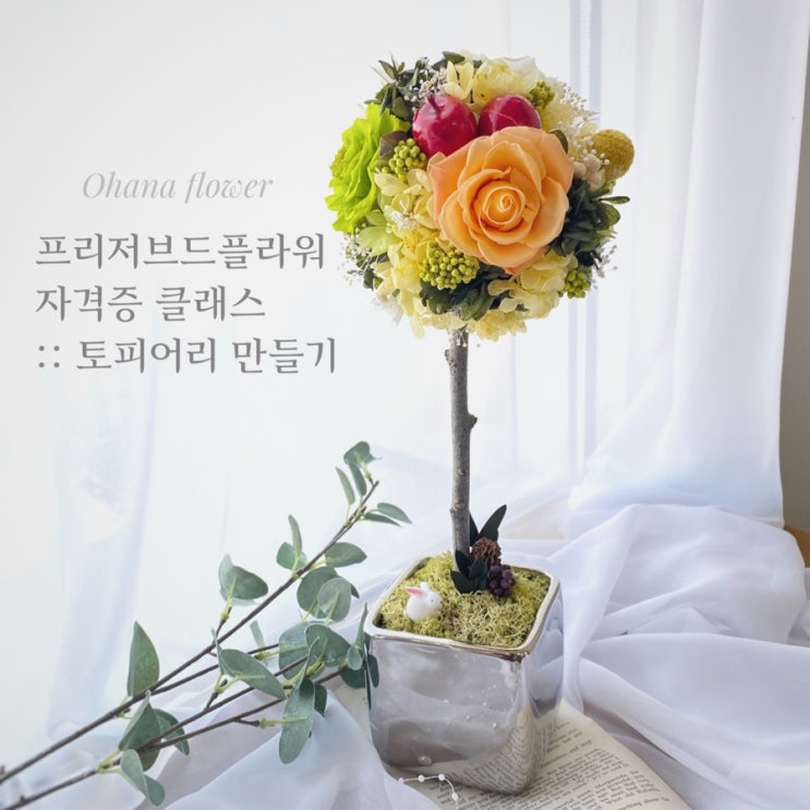  아로마프리저브드플라워 기초 (창업)클래스 후기  :: 부산 수영 해운대 플라워스튜디오 Ohanaflower