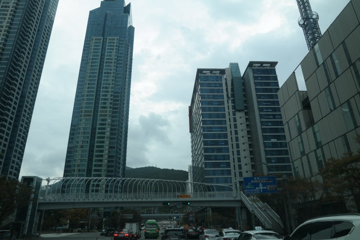  꾸물꾸물한 목요일입니다.화이팅