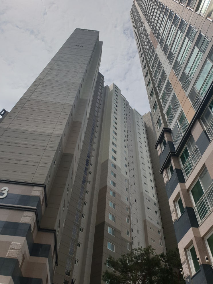  울산방충망 블랙스텐 미세방충망 업체선정~ 꼼꼼한업체 찾으세요!