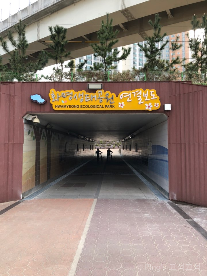  화명생태공원 끝에서 양산까지 조깅!
