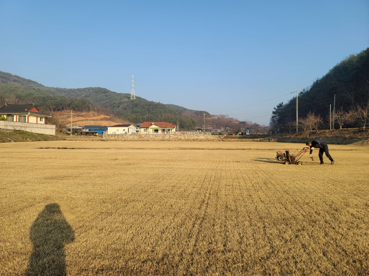  전국으로 배송하는 진주 초원잔디