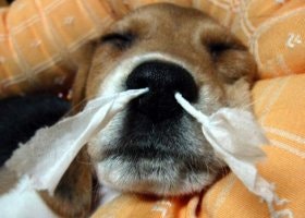 미래의원 이미지