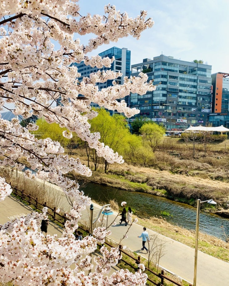  HPPlan100  35일차 포트폴리오2020