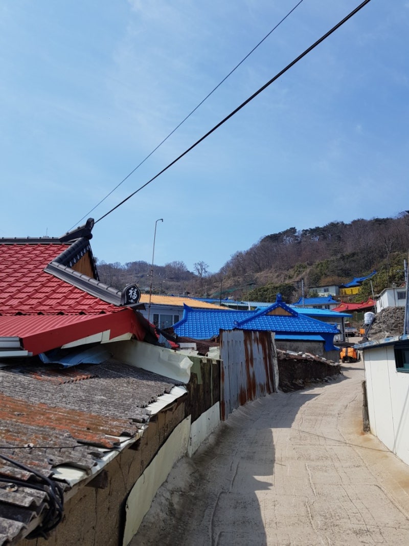 풍도 섬여행 맛집 민박 : 네이버 블로그