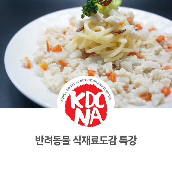  [한국반려동물영양협회] 반려동물 식재료도감 대전/수원/여수 특강 교육 실시