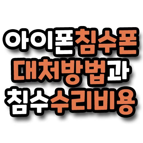  아이폰 물에빠졌을때 응급(임시) 대처 방법과 침수 수리비용