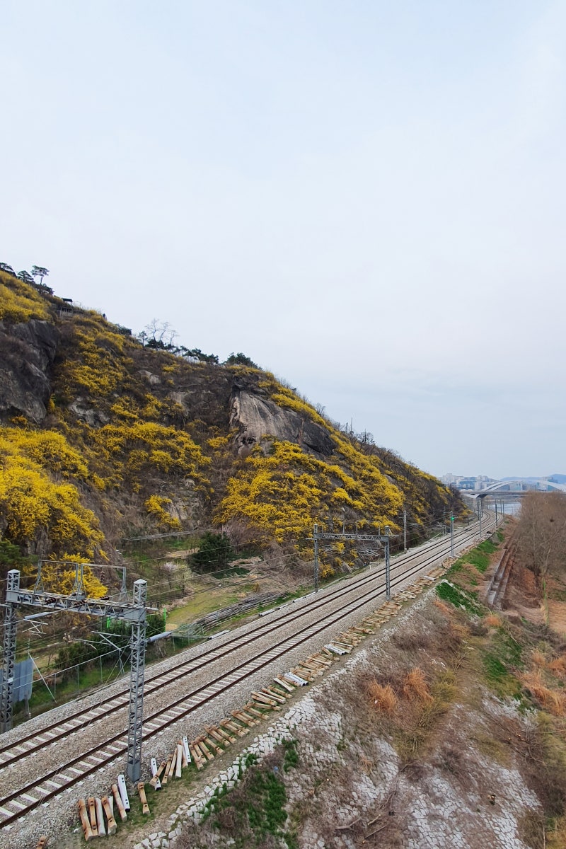 유디니랑(암소서울/내자상회/서울시따릉이etc) : 네이버 블로그