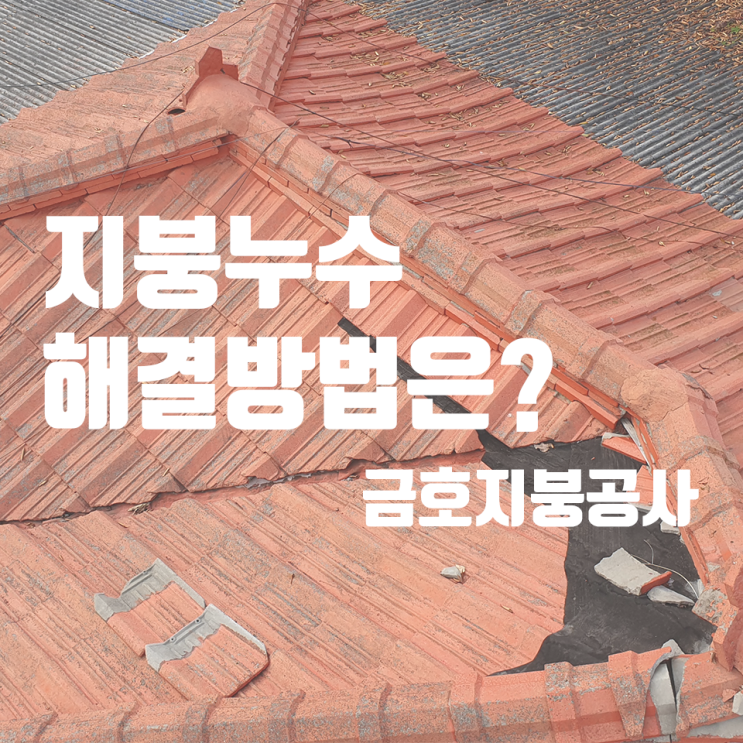  지붕 누수가 걱정되신다면 칼라강판 어떨까요?