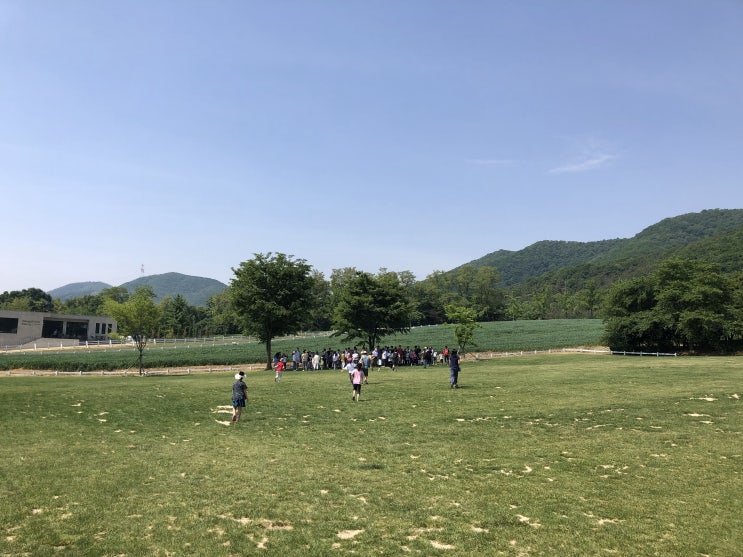  [낙농:체험] 경기도 주말나들이 용인농도원목장추천!