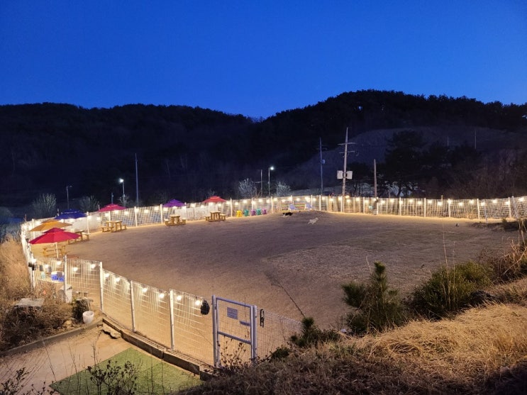  인천 애견놀이터 카페 라봉의 위치와 정보 직접 가본 후기!
